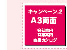 キャンペーン2　A3両面　会社案内・営業案内・商品カタログ