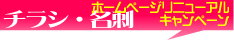 ホームページリニューアルキャンペーン中！